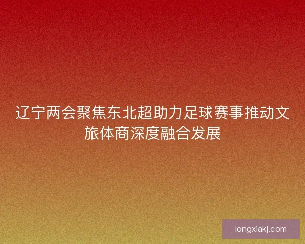 辽宁两会聚焦东北超助力足球赛事推动文旅体商深度融合发展
