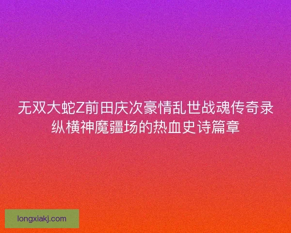 无双大蛇Z前田庆次豪情乱世战魂传奇录纵横神魔疆场的热血史诗篇章 无双大蛇Z前田庆次豪情乱世战魂传奇录纵横神魔疆场的热血史诗篇章